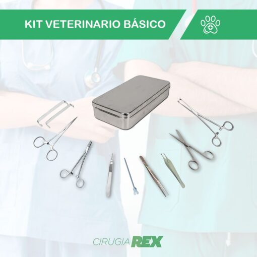 Kit Completo De Cirugía Dental Para Conejos Y Roedores - Instrumentos Veterinarios De Acero Inoxidable