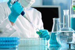 Laboratorio
