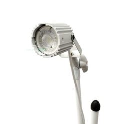 Fotoforo romano REX 1