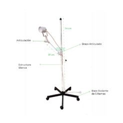 Fotoforo romano medidas REX.png